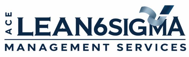 Ace Lean6Sigma Management Services